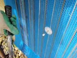 carrowcrory studio-3890.JPG